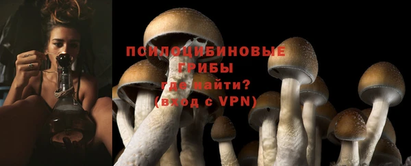 спайс Нягань