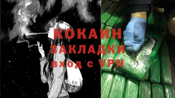 амф Няндома