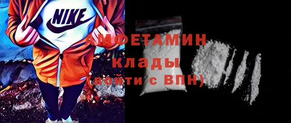 амф Няндома