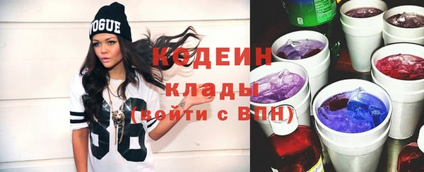 амф Няндома
